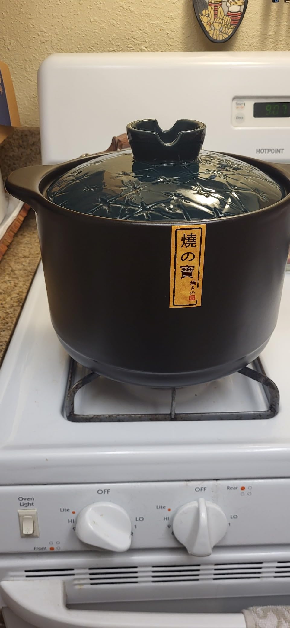 Ceramic Cooking Pot 2.1QT - Authentic Japanese Donabe Clay Pot - Earthenware Stew Pot for Slow Cooking, Casserole with Green Lid, Healthy & Non Toxic customer photo 1