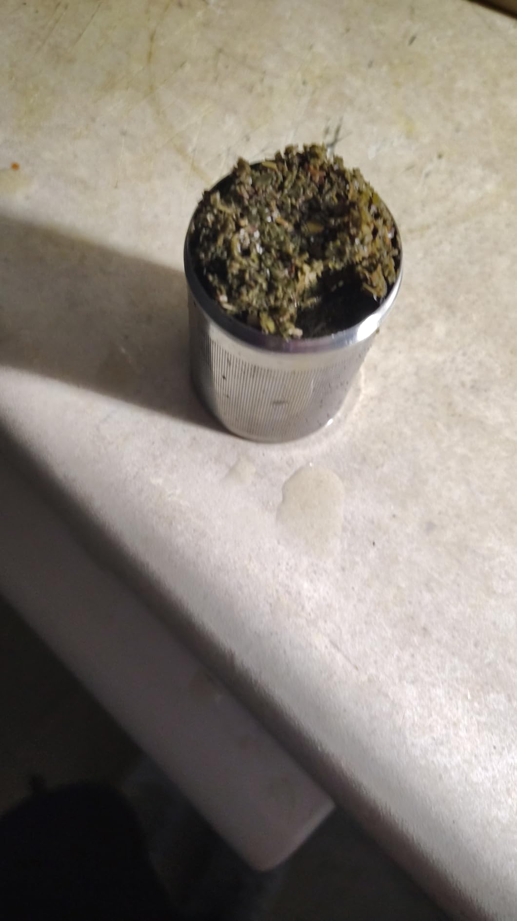 House Again 2 Pack Large Tea Infusers, Extra Fine Mesh Tea Strainers for Loose Tea, Slim Lid & 304 Stainless Steel, Filter Bags Diffusers, Loose Leaf Tea Steeper for Brew Tea Spices & Seasonings customer photo 1