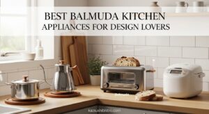 Best Balmuda Kitchen Appliances for Design Lovers