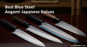 Best Blue Steel Aogami Japanese Knives