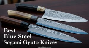 Best Blue Steel Aogami Super Gyuto Knives