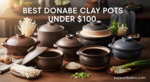 Best Donabe Clay Pots Under $100