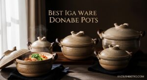 Best Iga Ware Donabe Pots
