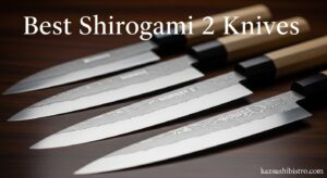 Best Shirogami 2 Knives