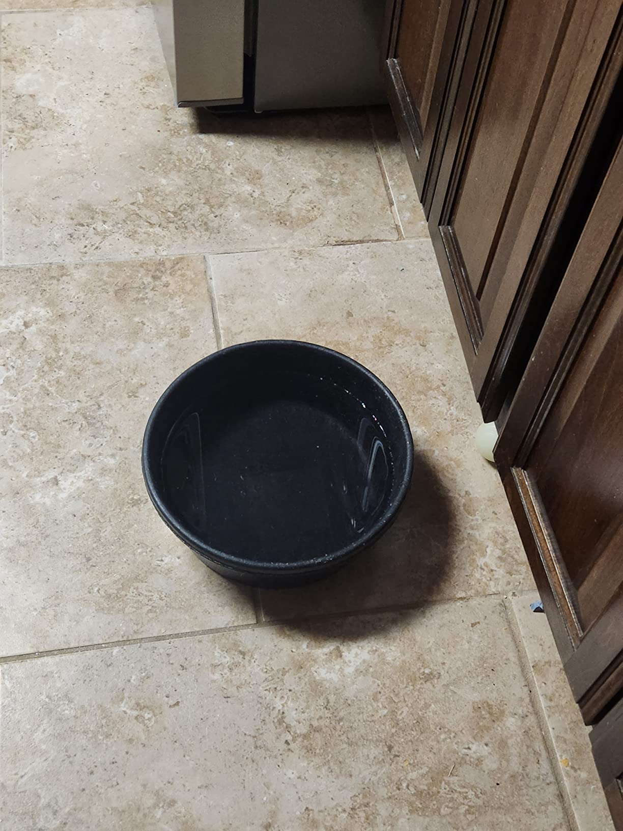 Feeder Pan for Dogs/Cats and Horses, 4-Quart customer photo 2