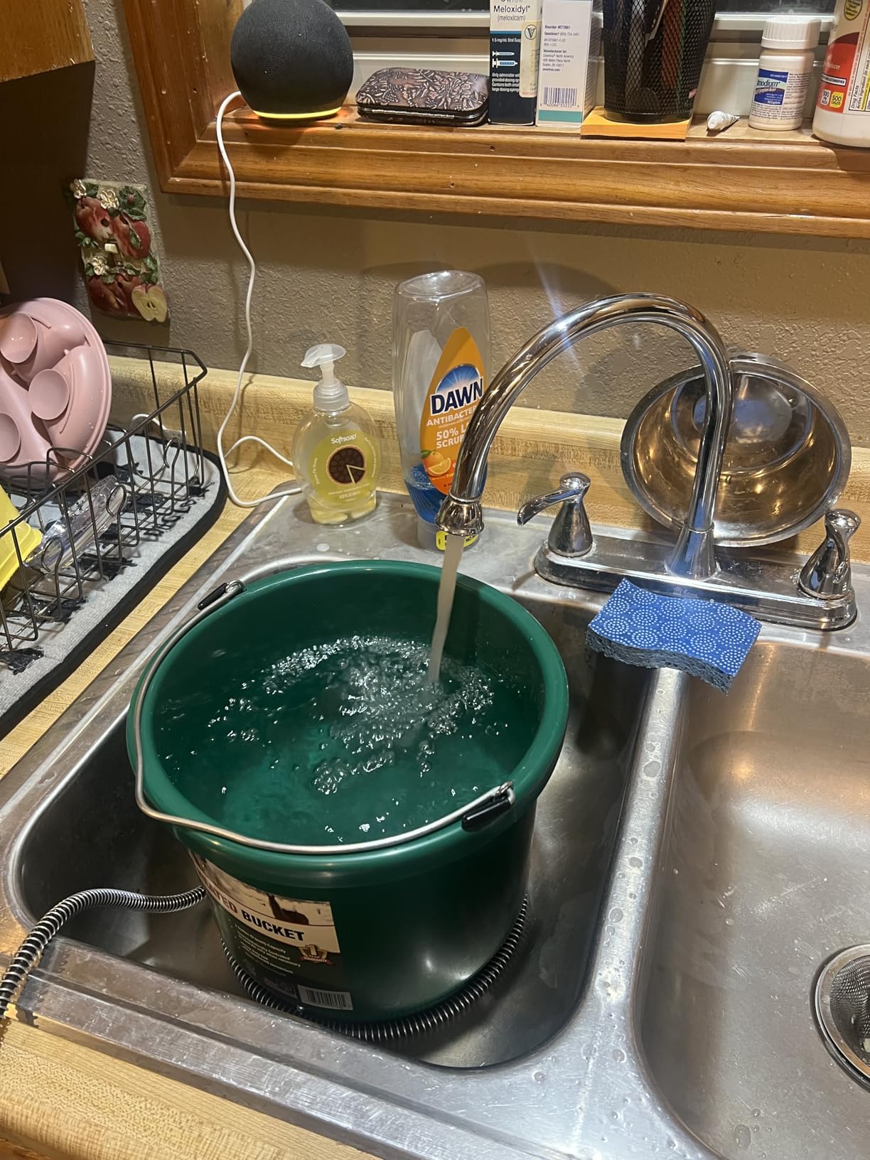 API 16 Gallon 260 Watt Heated Bucket (16HB) customer photo 1