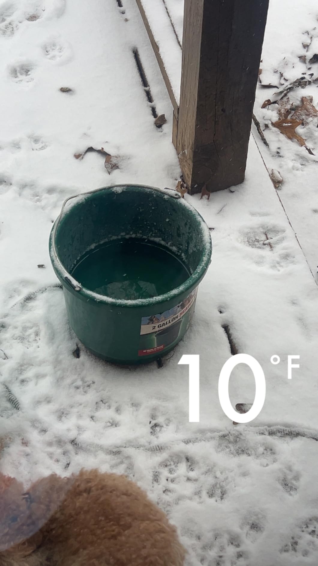 API 16 Gallon 260 Watt Heated Bucket (16HB) customer photo 2