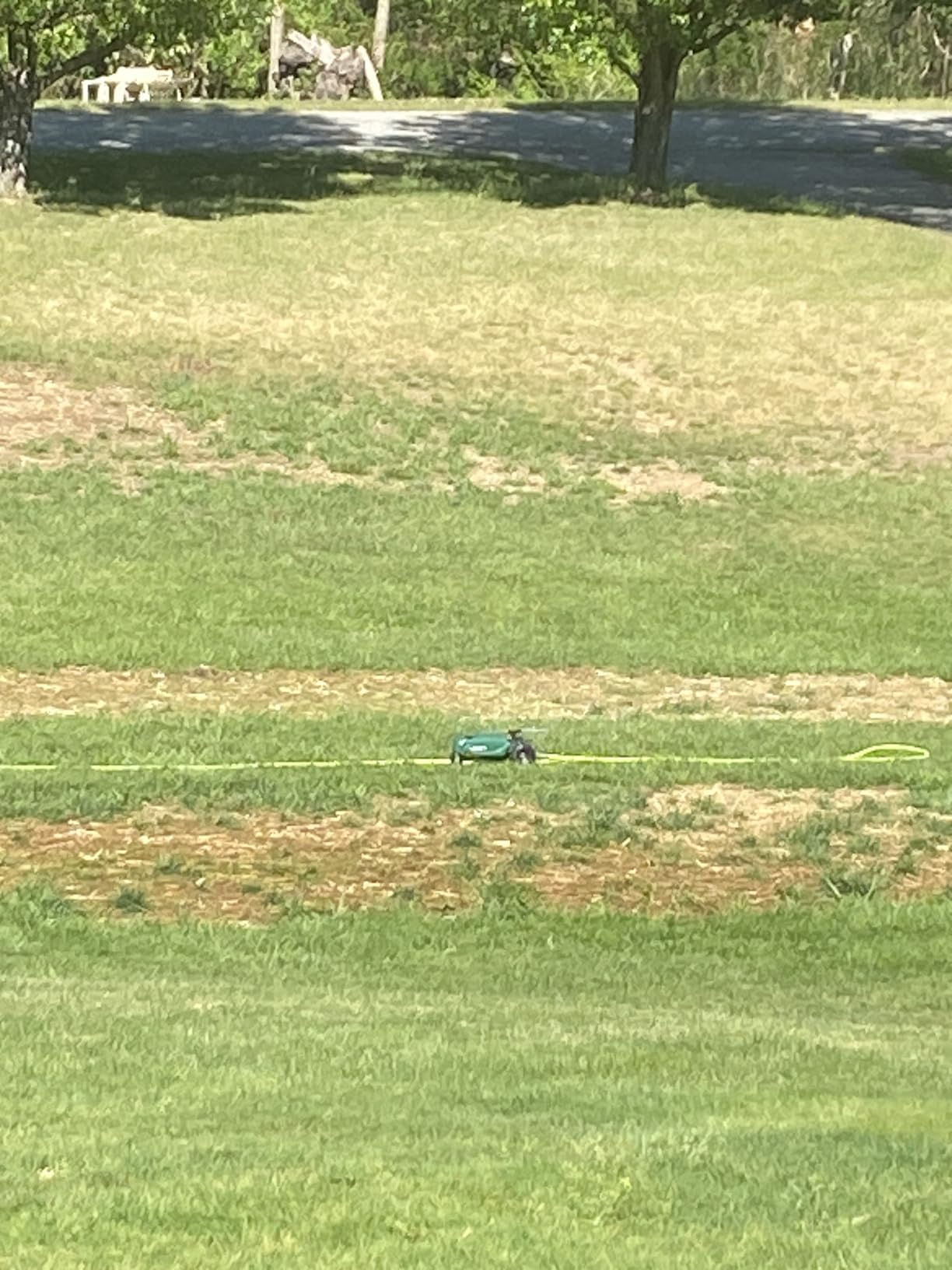 Orbit Traveling Tractor Water Sprinkler - Self-Propelled Traveling Sprinkler for Wide Lawn Coverage - Cast-Iron Body with Adjustable Coverage - Three-Speed - Automatic Shut Off customer photo 2