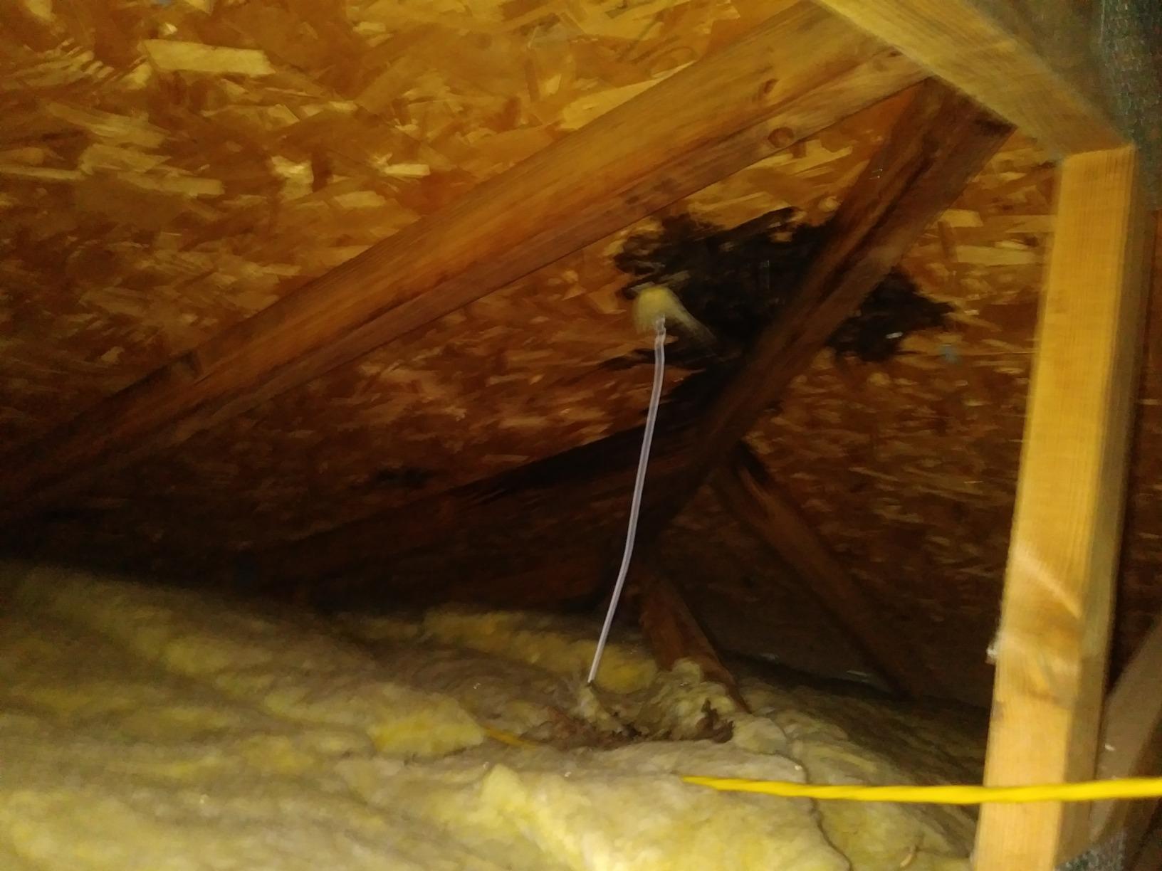 Sashco 14004 Gallon Clear Roof Sealant customer photo 1