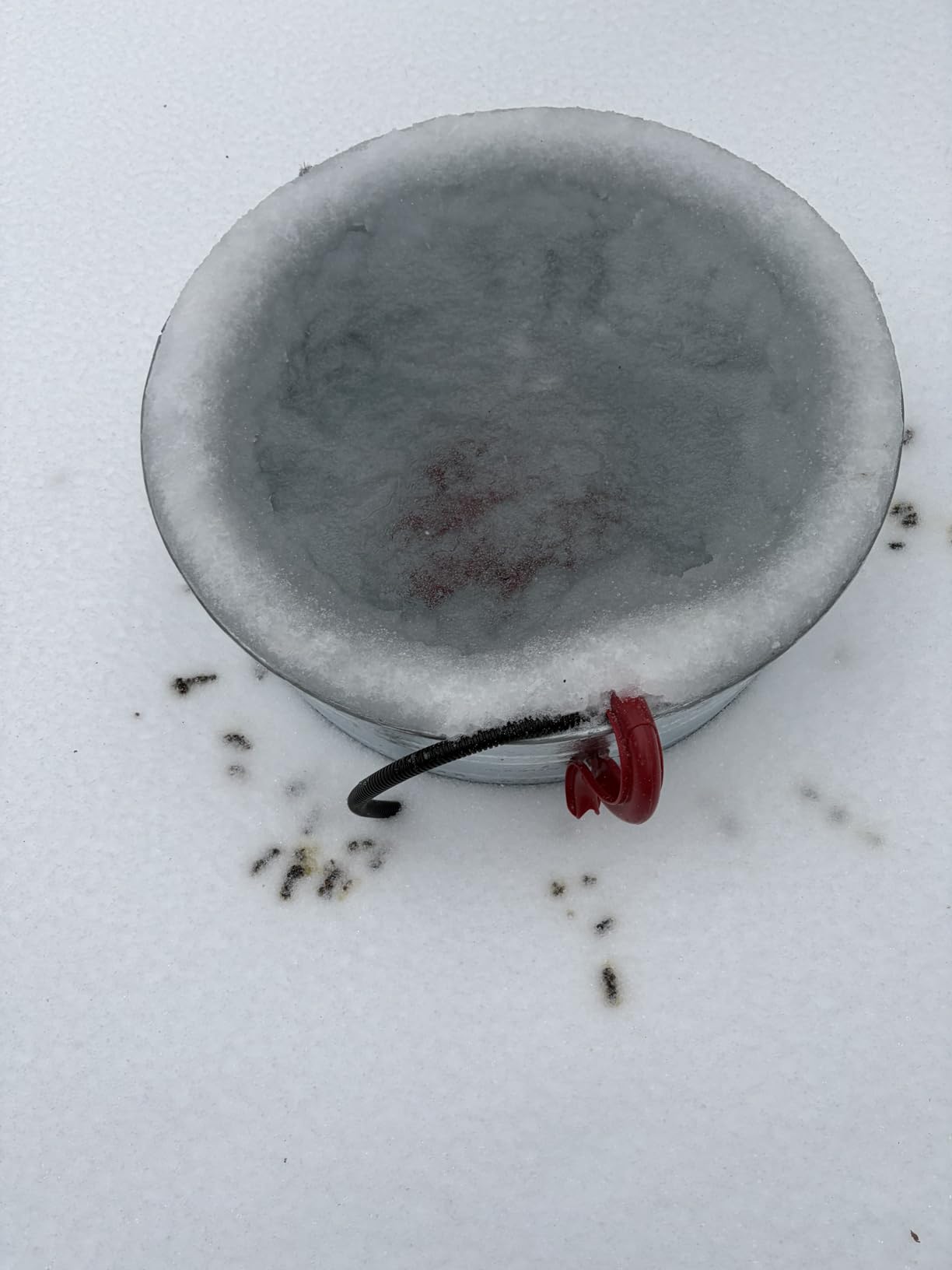 K&H Pet Products Stock Tank & Pond Heater, Ultimate Stock Tank Deicer w/ Cord Clip, Water Trough Heater for Horses, Cattle and Livestock, Full Cage, Floating, Submersible, Safety Listed - Red 250W customer photo 1
