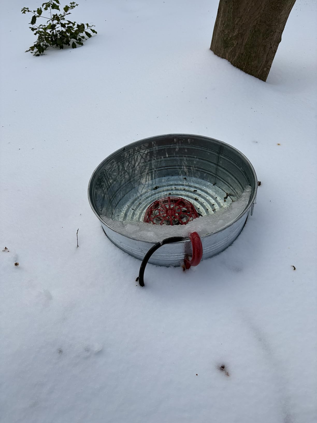 K&H Pet Products Stock Tank & Pond Heater, Ultimate Stock Tank Deicer w/ Cord Clip, Water Trough Heater for Horses, Cattle and Livestock, Full Cage, Floating, Submersible, Safety Listed - Red 250W customer photo 2