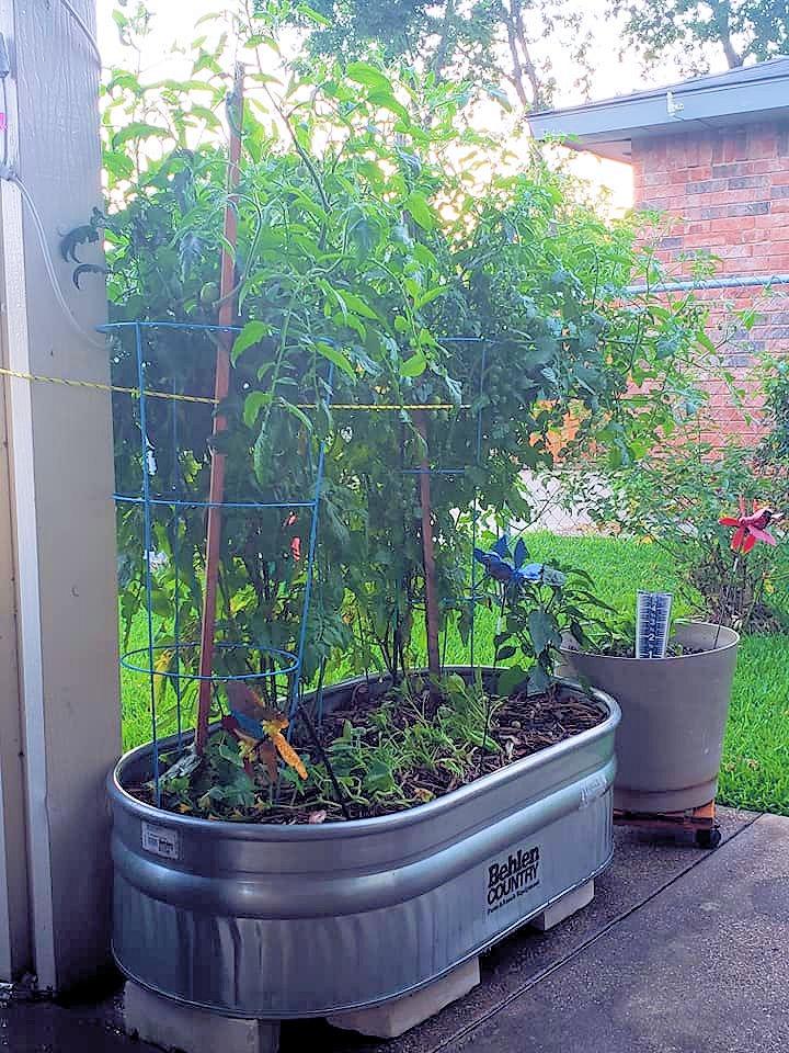 Behlen Country ST216 Shallow Galvanized Steel Round End Stock Tank, Approximately 70 Gallons customer photo 2
