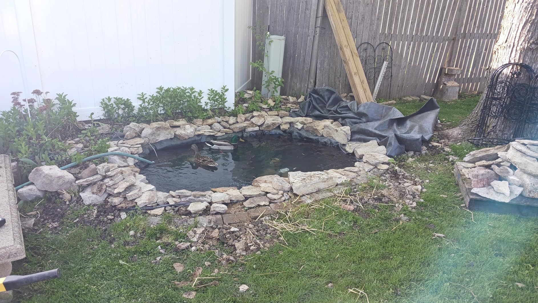 10 x 15 Firestone 45 Mil EPDM Pond Liner customer photo 1