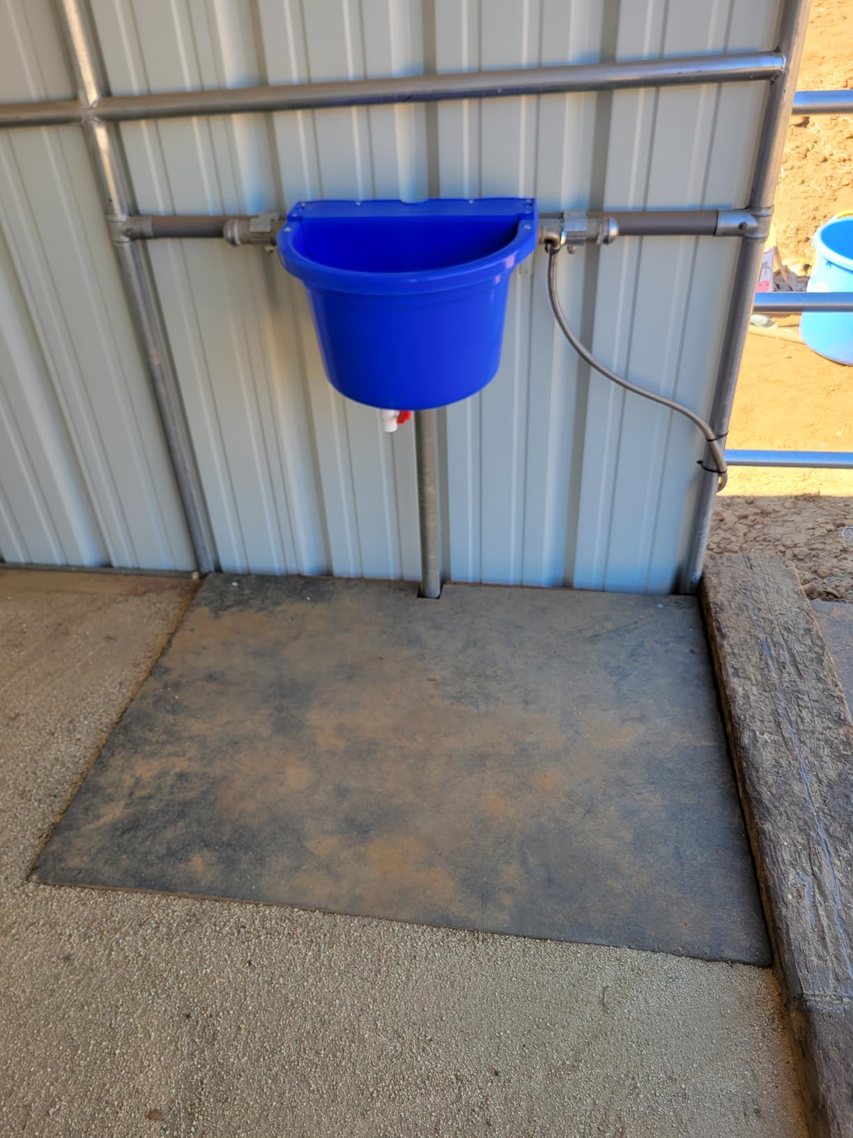 Little Giant Automatic Animal Waterer DuraMate Float Controlled 4 Gallon (Blue) customer photo 2