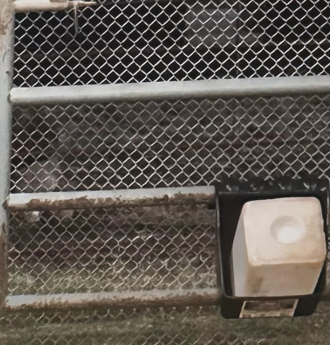 Little Giant SBPU Universal Block Holder and Feeder; Grain/Supplement Feeder for Cattle, Horses, Goats, Sheep, Alpacas & Llamas; Polypropylene Plastic, Holds 50-Lb or 6.5 Quarts customer photo 1