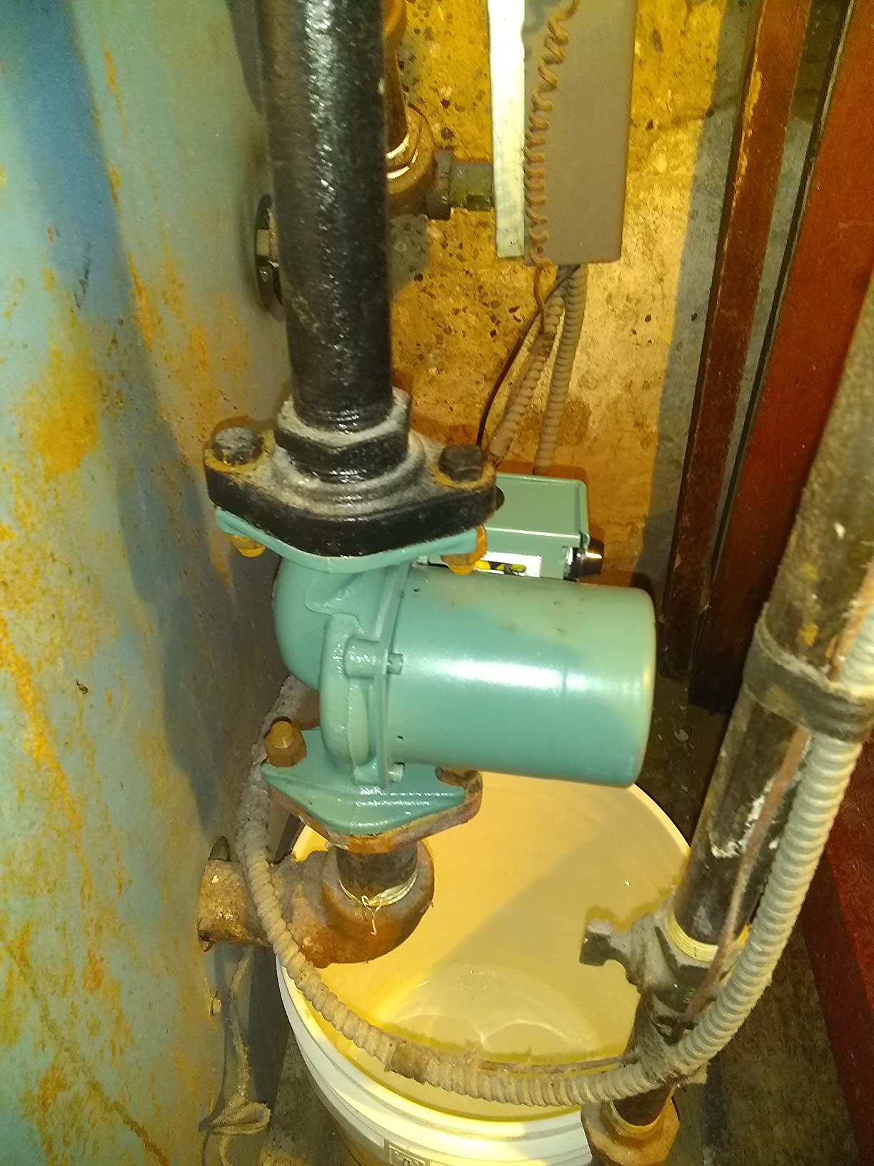 Taco 0015-MSF2-IFC 3-Speed Circulator, Cast Iron customer photo 1