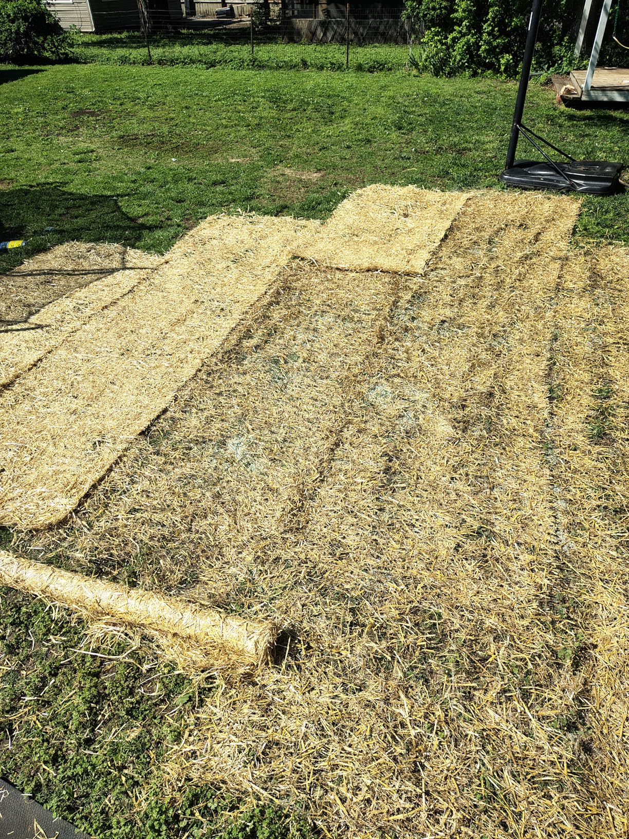 EZ Straw Grass Seed Germination and Erosion Control Blanket, 4 ft x 50 ft, Covers 200 sq ft - Protects and Assists in Grass Seed Growth customer photo 2