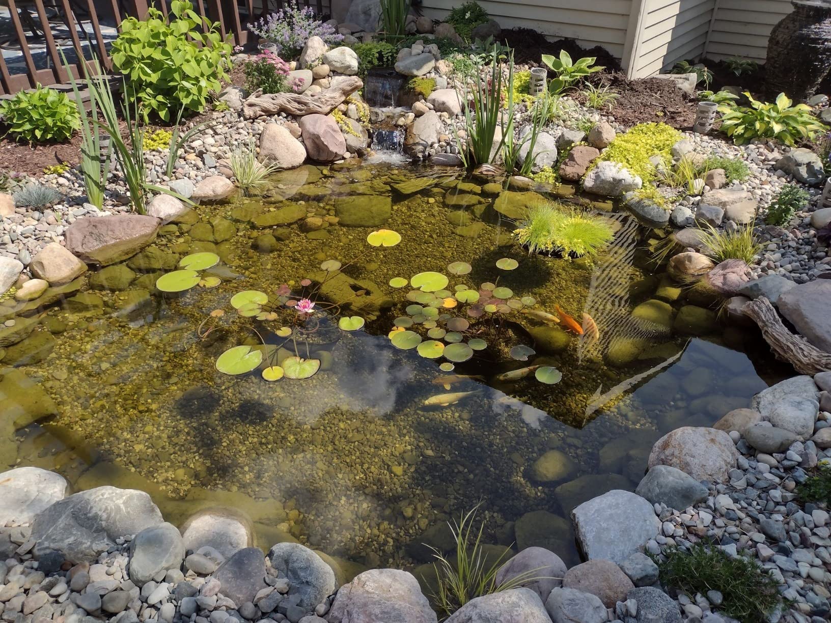 Aquascape Complete Pond Kit 11 Feet x 16 Feet, Medium, AquaSurgePRO 2000-4000 Pump customer photo 1