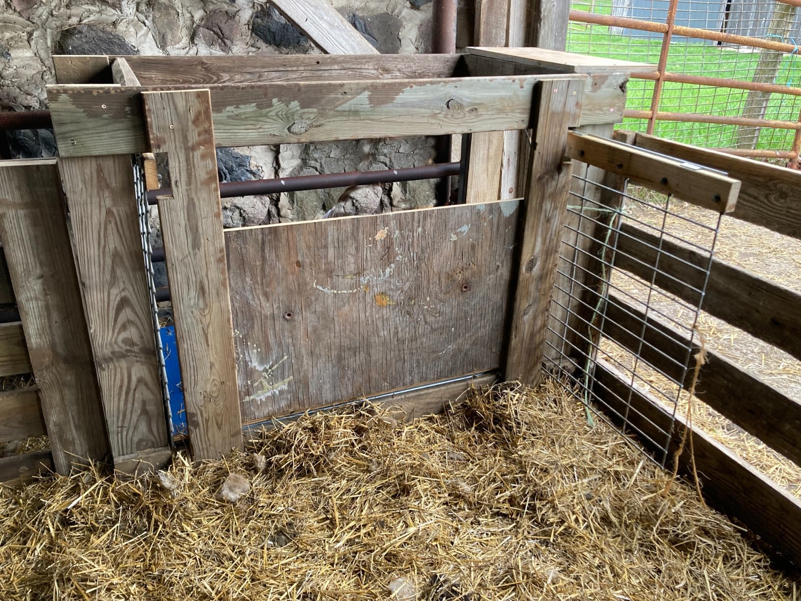 1000 lb Livestock Hog Sheep Goat Animal Scale Kit customer photo 1