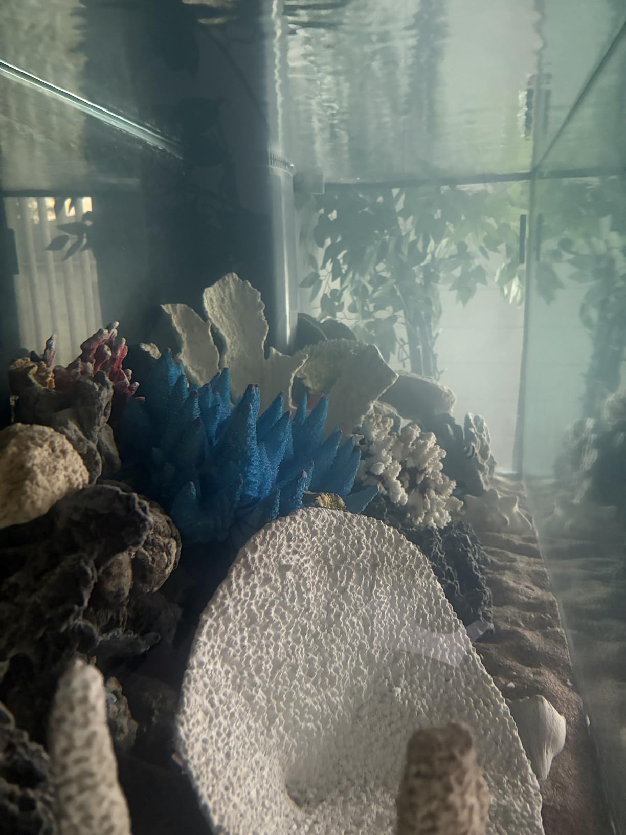 18W Non-Submersible UV Ultraviolet Light Clarifier customer photo 1