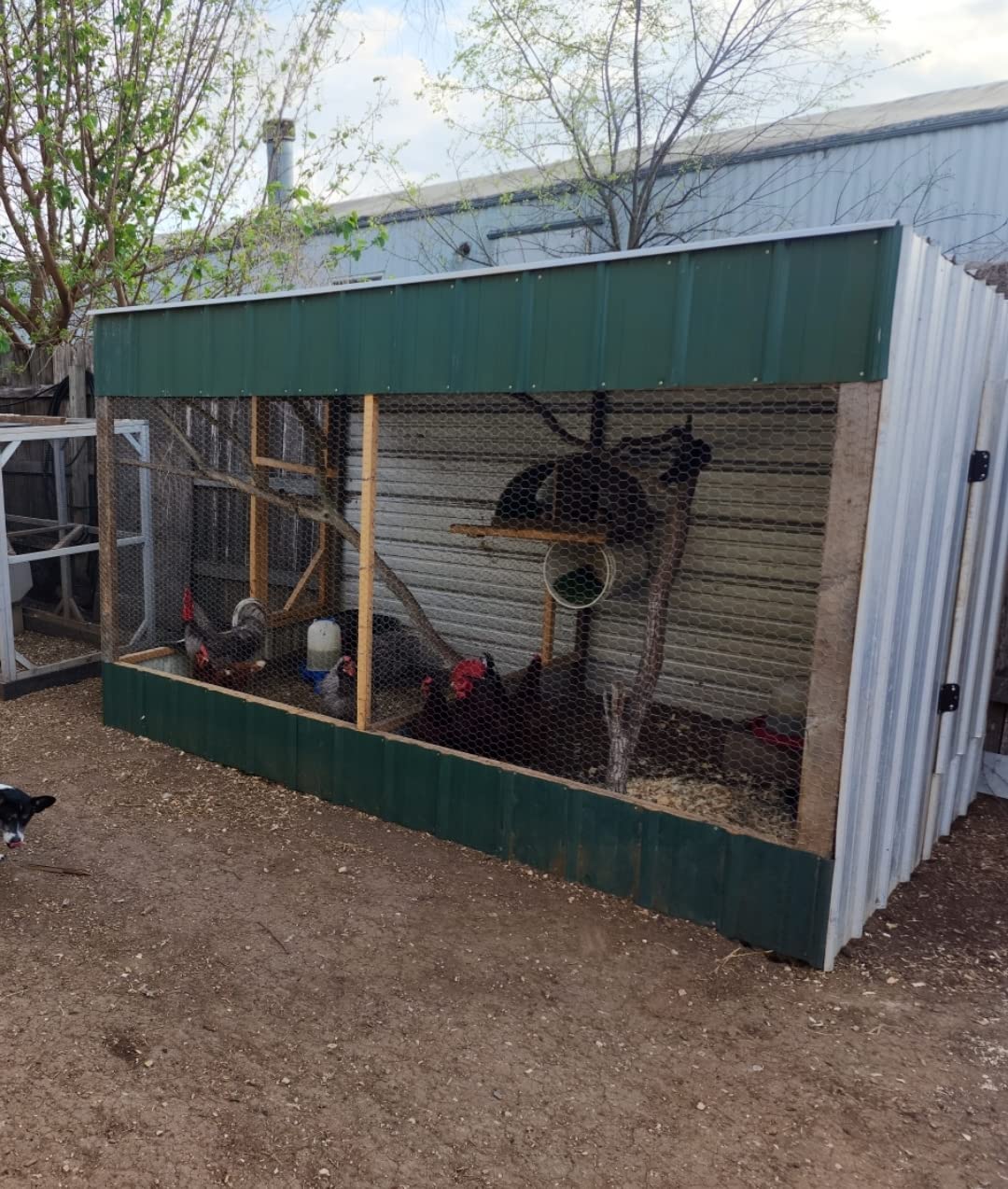 20GA Galvanized 12in x 150ft x 1in Mesh Chicken Wire Hexagonal Poultry Netting customer photo 1