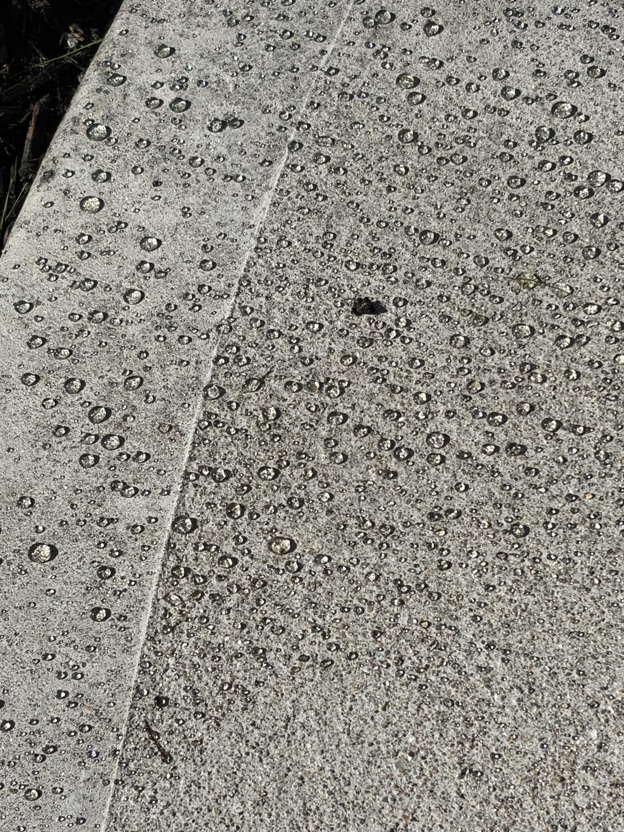 Rain Guard Concrete Sealer, 1 Gallon, Ready to Use, Natural Finish | Clear Silane Siloxane Waterproofer, Deep Penetrating Protection Against Water & Salt Damage For All Concrete Surfaces customer photo 1