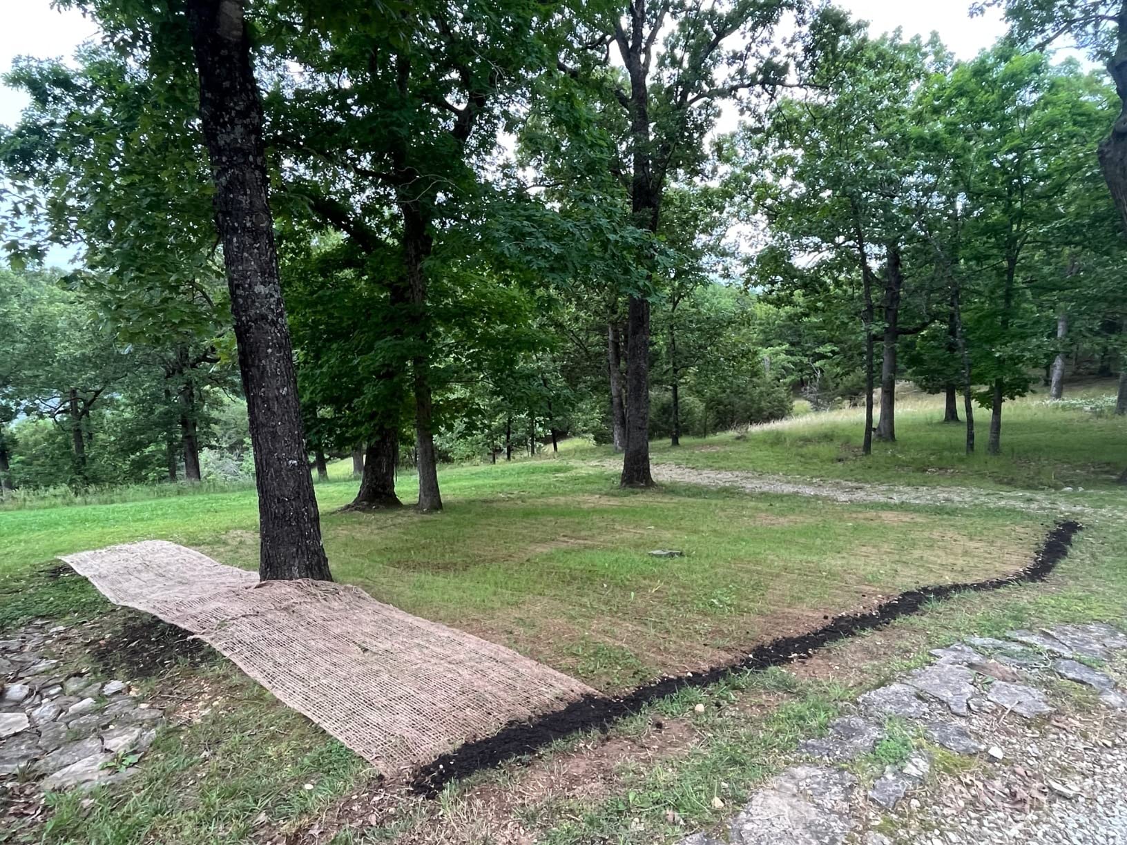 Sandbaggy Jute Netting Roll, 4 ft x 225ft, Biodegradable Erosion Control Blanket for Slopes, Hills & Drainage, Eco-Friendly, Durable Soil Stabilizer, Contractor-Approved for Landscaping (1 Roll) customer photo 1