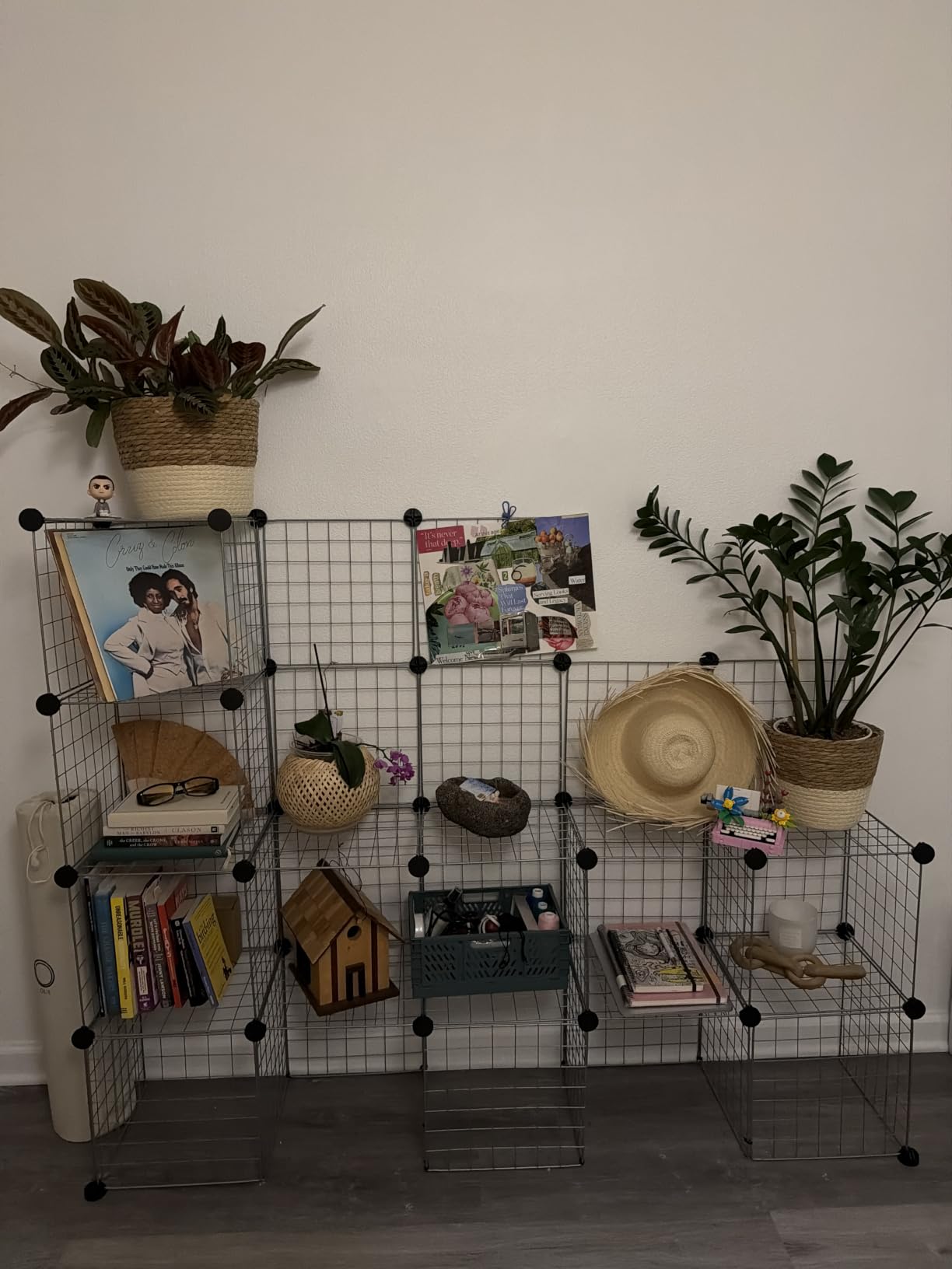 C&AHOME Wire Cube Storage - 9-Cube Organizer, Metal Grids, Bookshelf, Black | Storage Bins Shelf, Modular Bookshelf Units, Closet Cabinet, Shelving, Ideal for Home, Living Room, Office customer photo 2