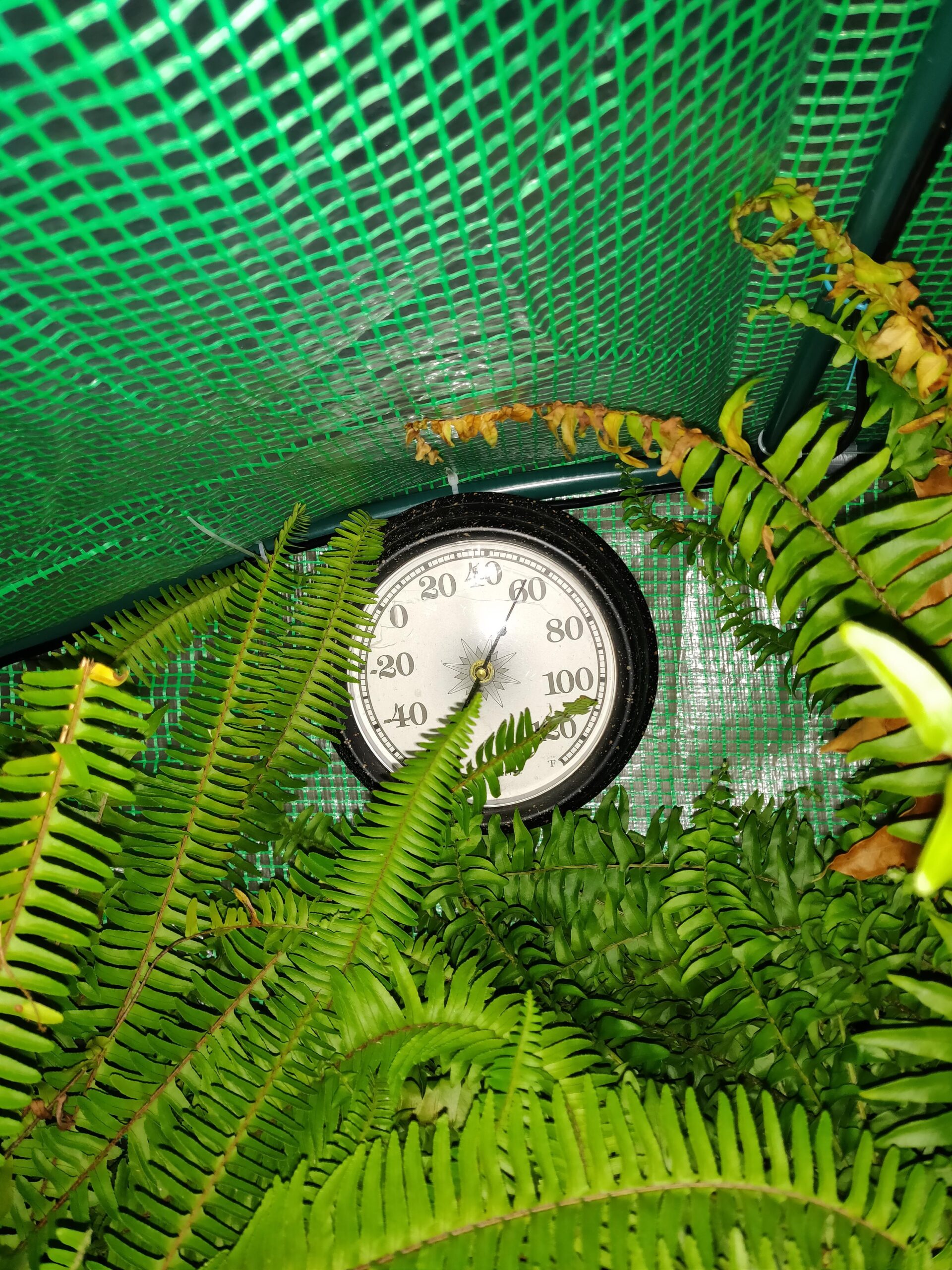 Comfort Zone Milkhouse Style Utility Space Heater customer photo 1