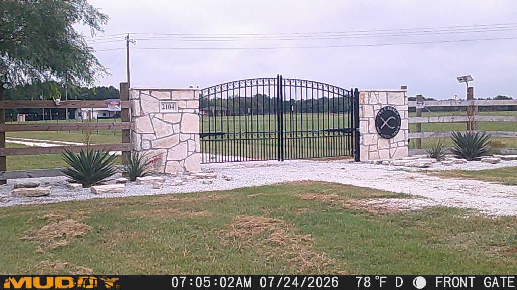 ALEKO Dual Swing Driveway Gate with Opener Kit (14x6 Venice) | Complete automation package, remote-controlled entry, weather-resistant steel, includes motor arms and control board customer photo 1