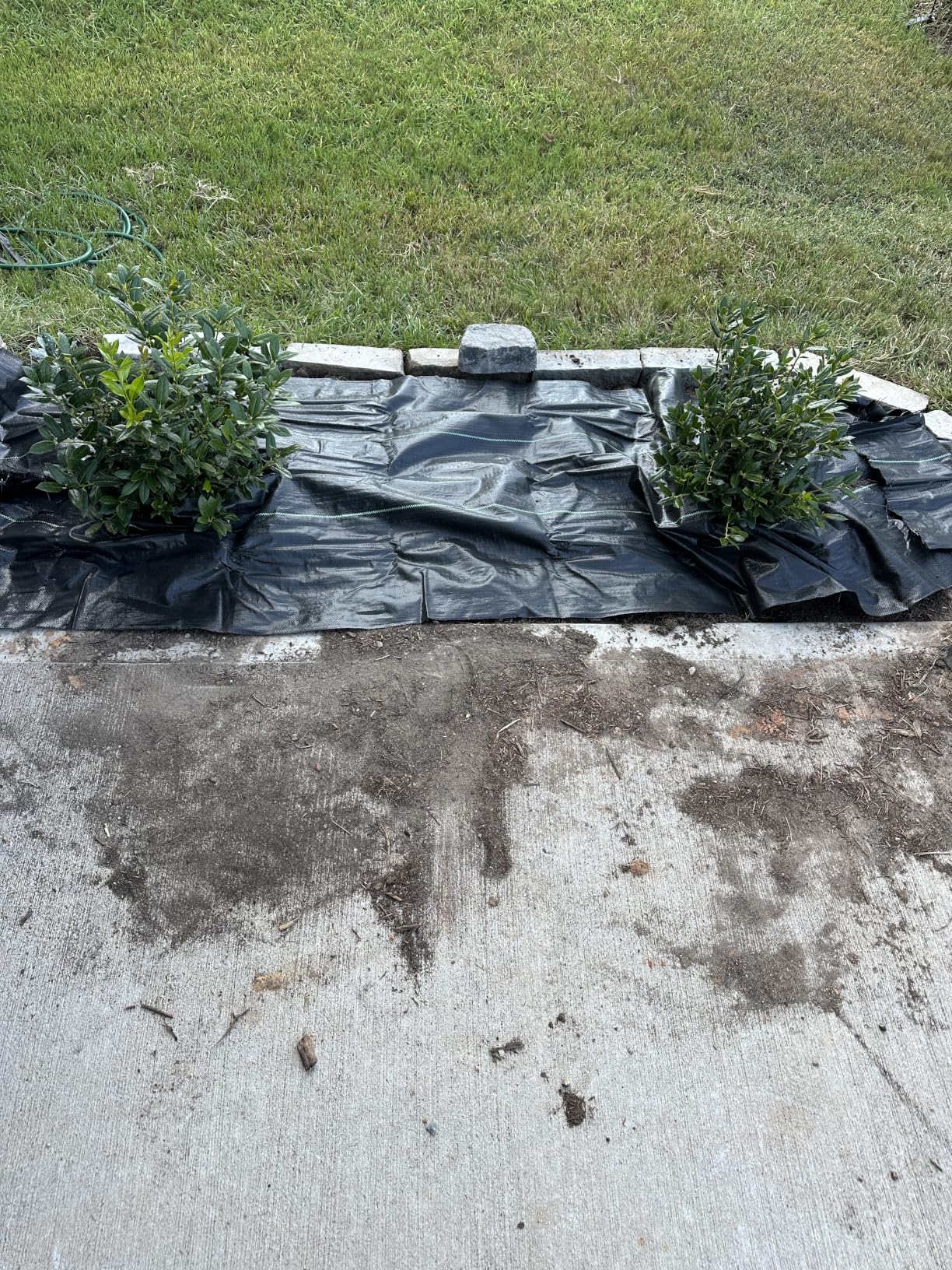 4ftx100ft Weed Barrier Landscape Fabric Heavy Duty, 3.2oz Weed Barrier Fabric, Easy Setup Woven Garden Weed Fabric Landscaping Fabric customer photo 2