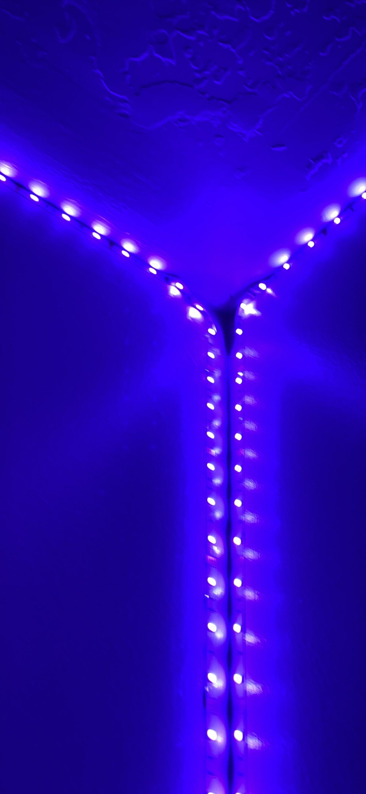 DAYBETTER Led Lights Color Changing Led Strip Lights with Remote Controller 60 ft, 2 Rolls of 30 ft Led Lighting for Bedroom, Home Decoration customer photo 2