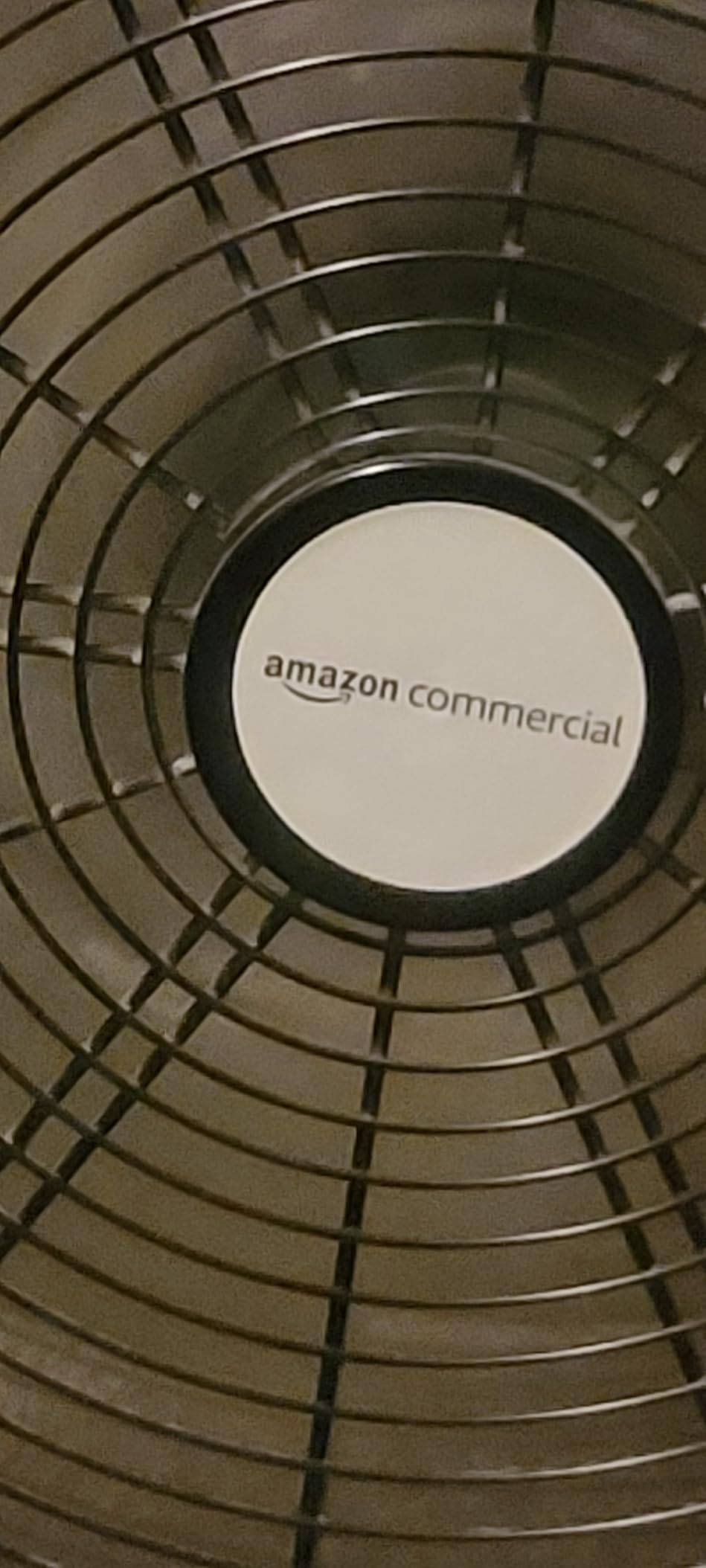 Amazon Basics 30
