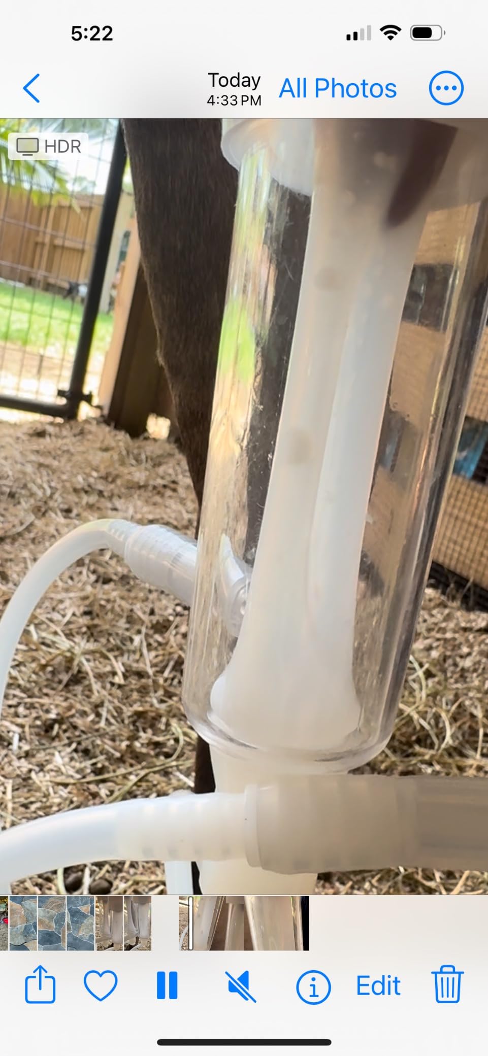 7L Goat Electric Milking Machine, Automatic Rechargeable Battery Powered Pulsation Vacuum Pump with 2 Teat Cups Stainless Steel Bucket for Goat (Battery Model) customer photo 1
