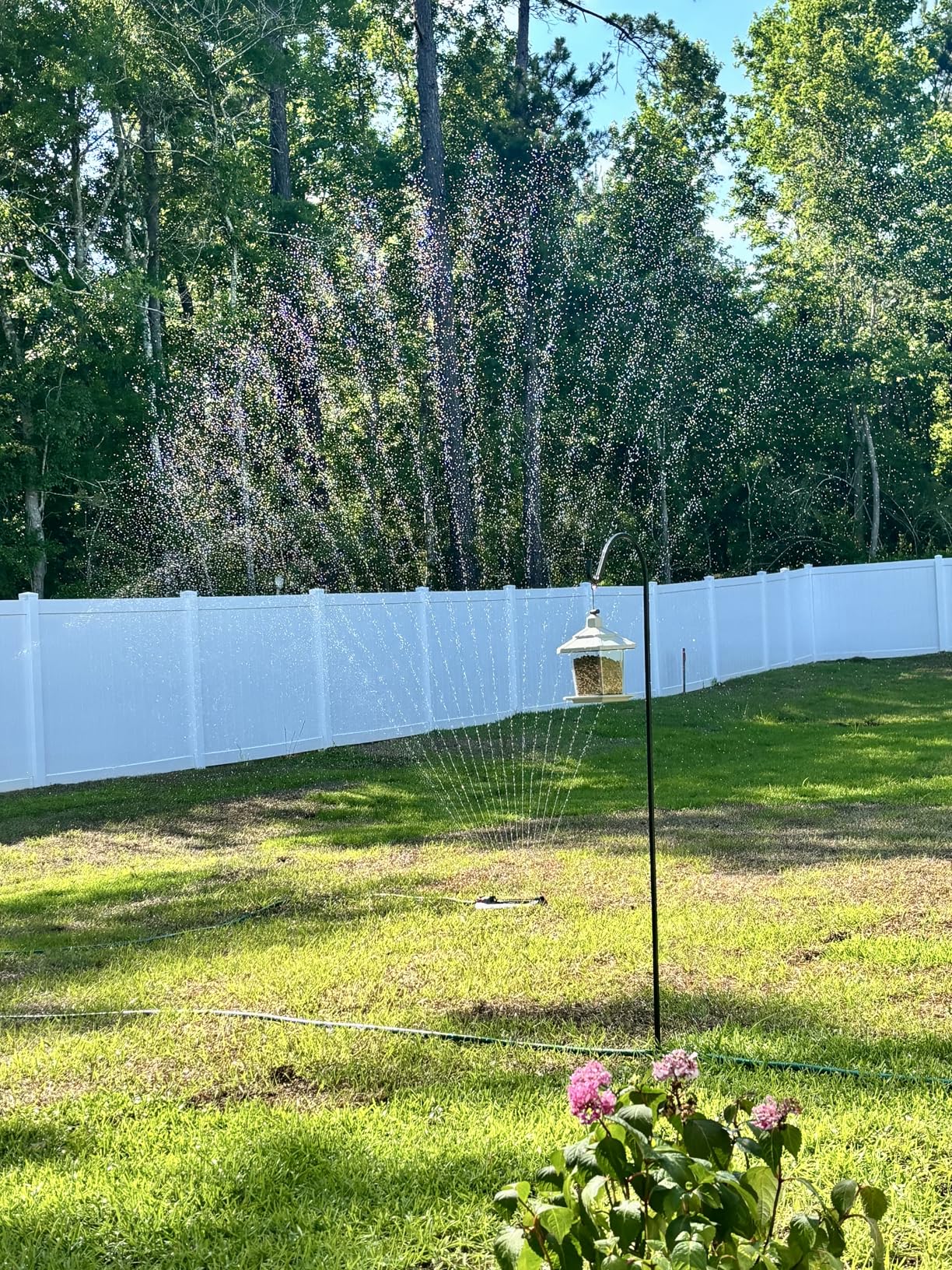 Eden 96213EDAMZ Weighted Essential Oscillating Sprinkler | Covers Up to 3,600 sq. ft., 16 Precision Nozzles, Adjustable Range, Turbo Drive Motor, Quick Connect Bundle, Stainless Steel Filters customer photo 1