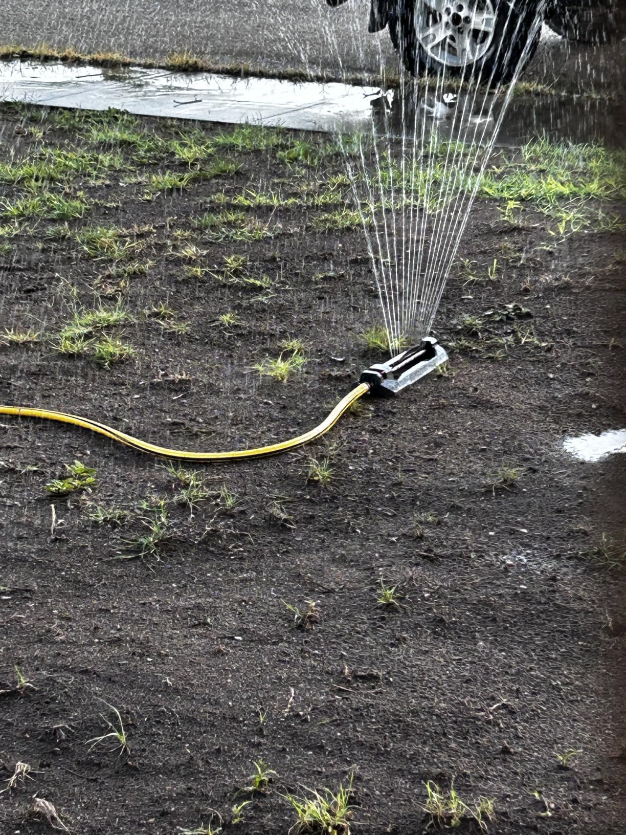 Eden 96213EDAMZ Weighted Essential Oscillating Sprinkler | Covers Up to 3,600 sq. ft., 16 Precision Nozzles, Adjustable Range, Turbo Drive Motor, Quick Connect Bundle, Stainless Steel Filters customer photo 2