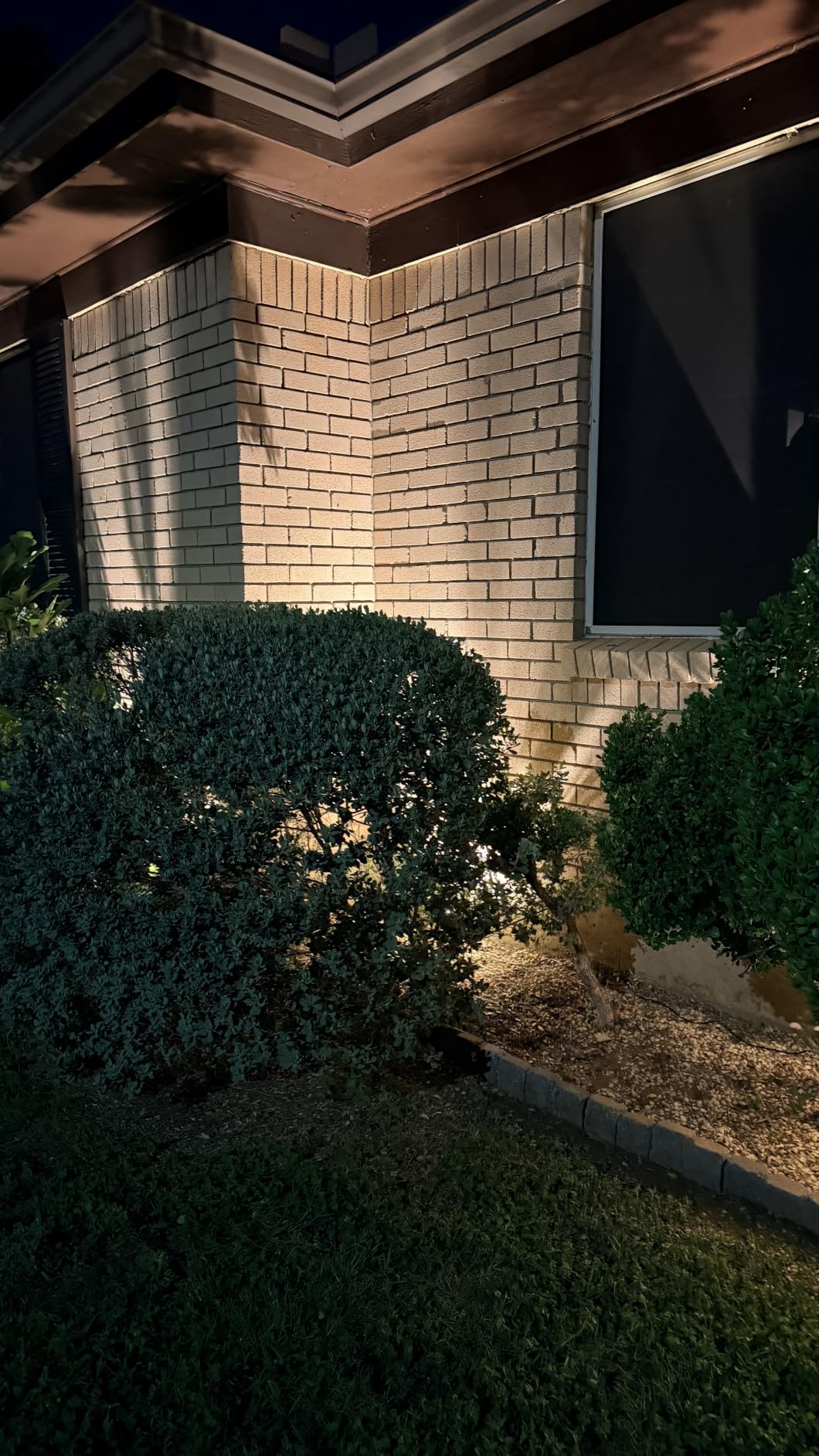 REEGOLD Low Voltage Landscape Lights Outdoor: 7W 700LM LED Landscape Lighting with Connectors for Tree Garden Yard Pathway | 12V 24V Warm White 2700K Spotlights | IP65 Waterproof | 6 Pack customer photo 1