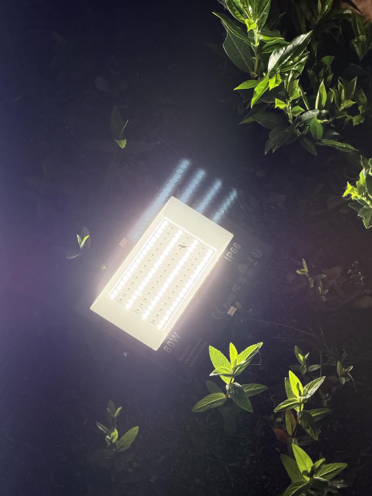 LED Flood Light Outdoor 800W Equivalent 8000LM Smart RGB Landscape Lighting, APP Control, DIY Scenes, Timing, Warm White 2700K, Color Changing Uplight, IP66 Waterproof US Plug (4 Pack) customer photo 1