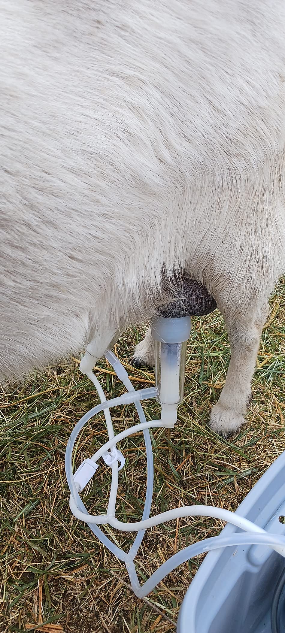 3L Goat Rechargeable Battery Milking Machine with 2 Teat Cups,Steel Buckets for Goats customer photo 1