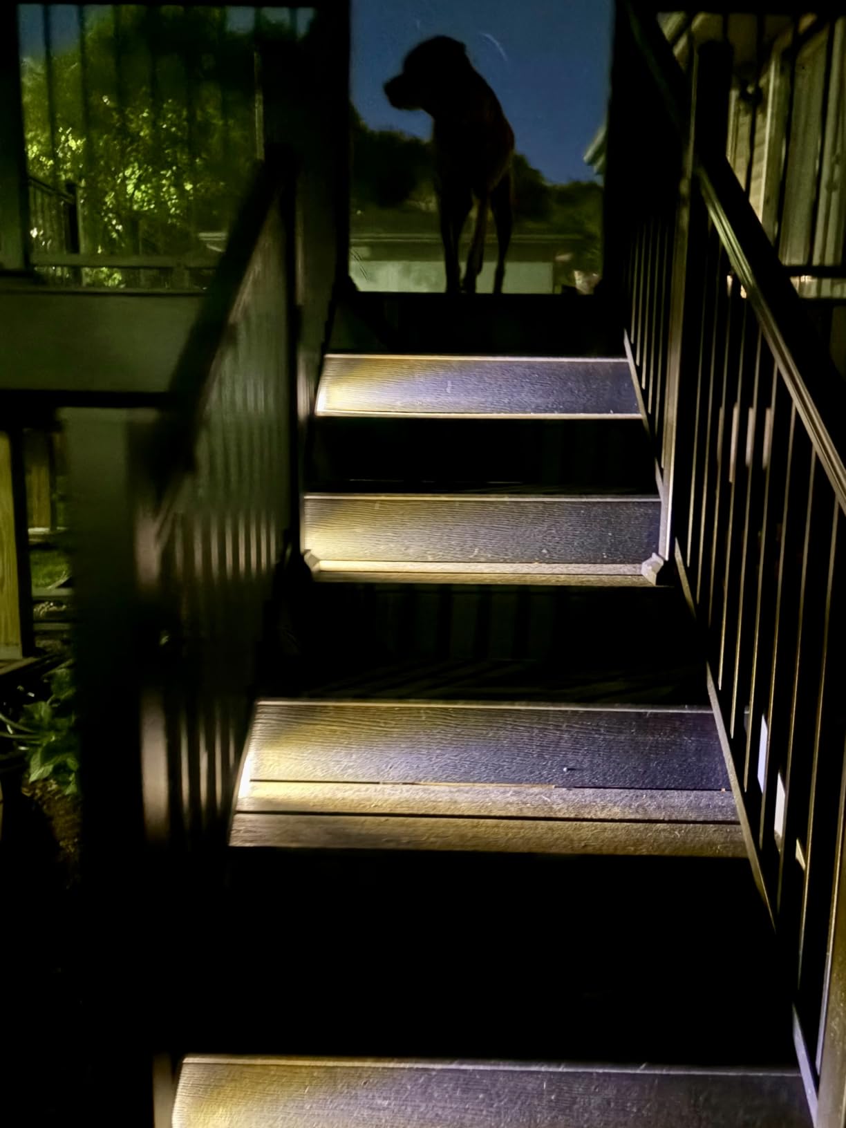 VOLISUN Solar Stair Lights 6 Pack, Solar Step Lights Outdoor Waterproof IP67, LED Outdoor Step Light, Outdoor Light Decor for Garden Stair, Deck, Front Step, Front Porch, and Patio (3000K) customer photo 2