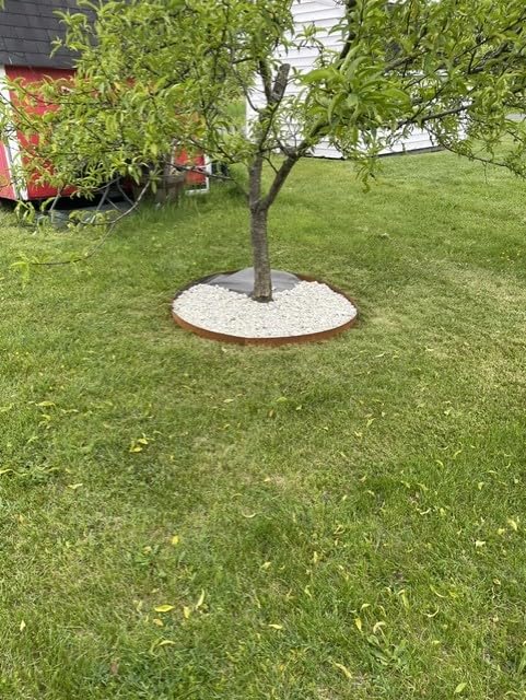 Corten Steel Landscape Edging 8in x 40in Strips, 6-Pack 20ft | Rusted, Hammer-In, 8 Inch Tall, Metal Edging for Garden, Border, Steel Landscaping, for Landscape, Yard, Lawn, Pathway customer photo 1
