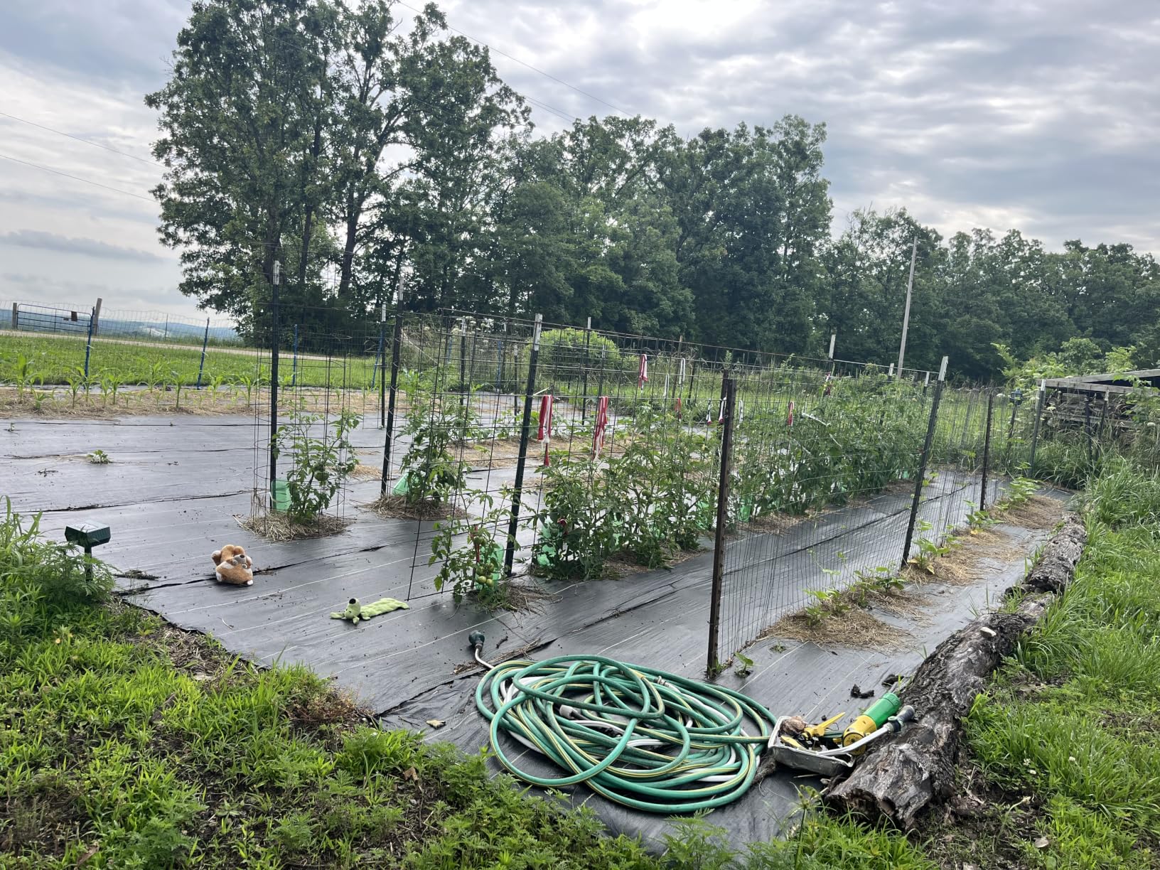 6ft x300ft Black Weed Barrier 3.5oz Landscape Premium Fabric-Heavy Duty Woven Ground Cloth with Superior Permeability Weed Control Convenient Design customer photo 1