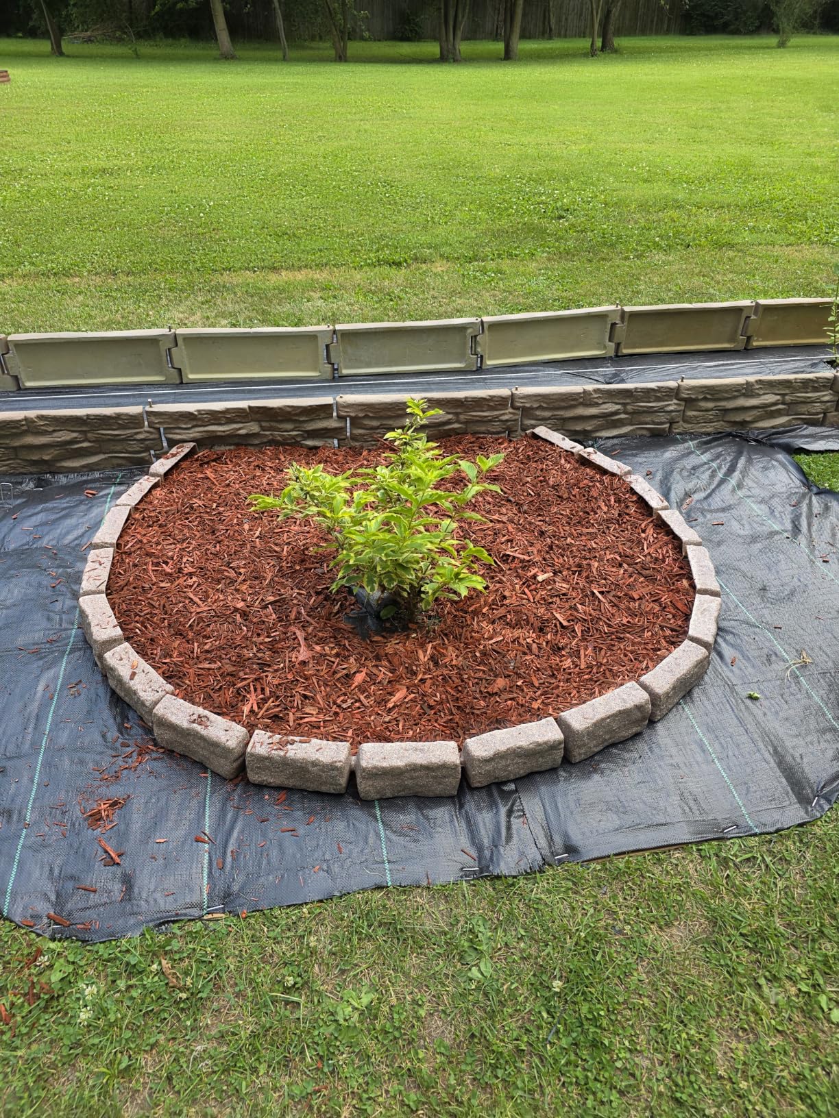 Beuta Landscape Edging | Garden Edging Border | Polyrock Bricks for Lawn Edging, Flower beds, Pathways & Yard Edging- 1 Pack | Each Section Has 6 Bricks 48