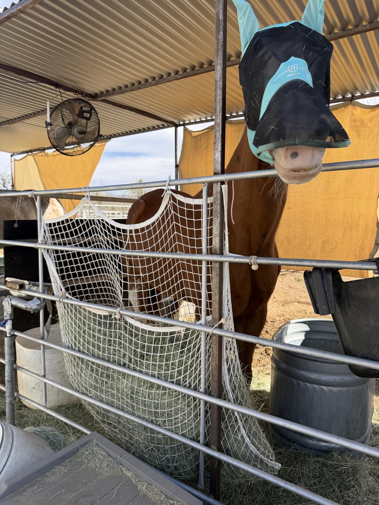 Fabbay 2 Pcs Slow Feed Hay Net for Horses, 35 x 31 Inch Hay Bag for Horses Goats Sheep, Small Hole Hanging Feeder Supplies for Stall Trailer, Black customer photo 1