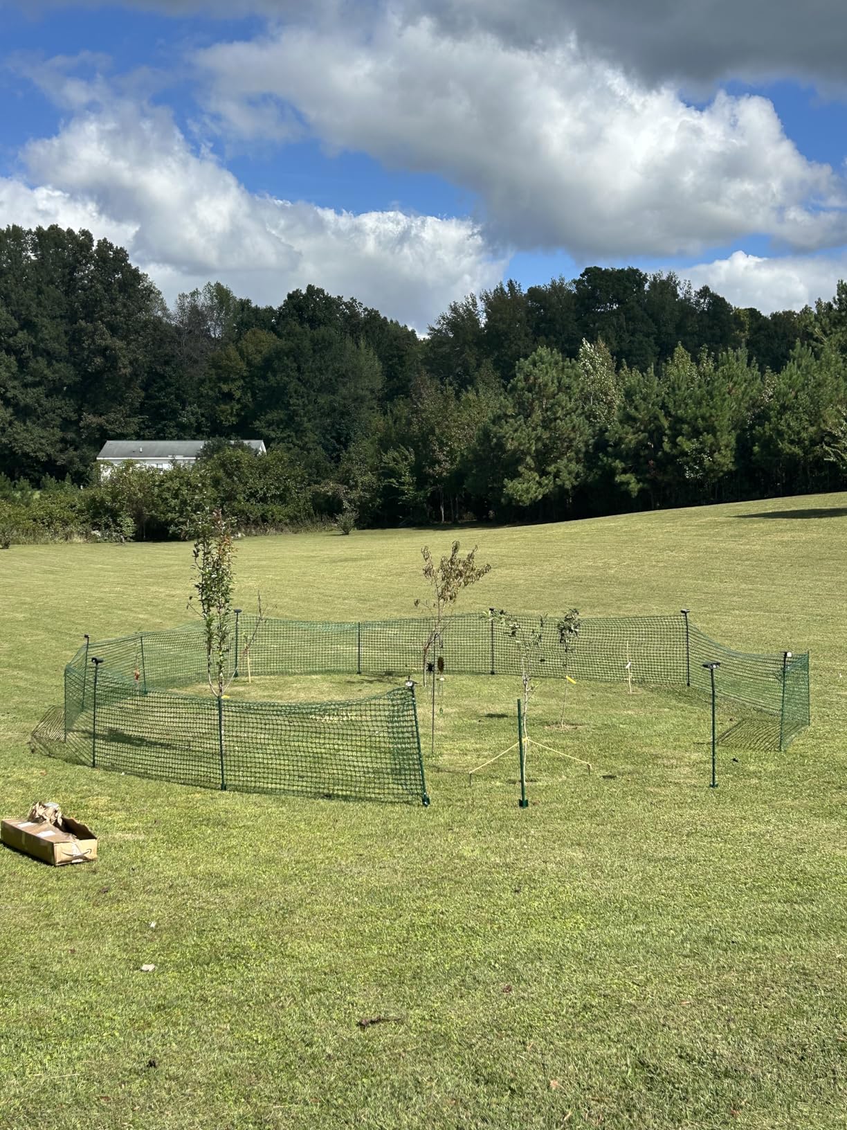 4'x100' Plastic Mesh Fence for Garden with 100 Zip Ties, Green | Reusable HDPE mesh fence, temporary outdoor barrier for yards, construction, snow fencing, poultry & deer, easy to install customer photo 2