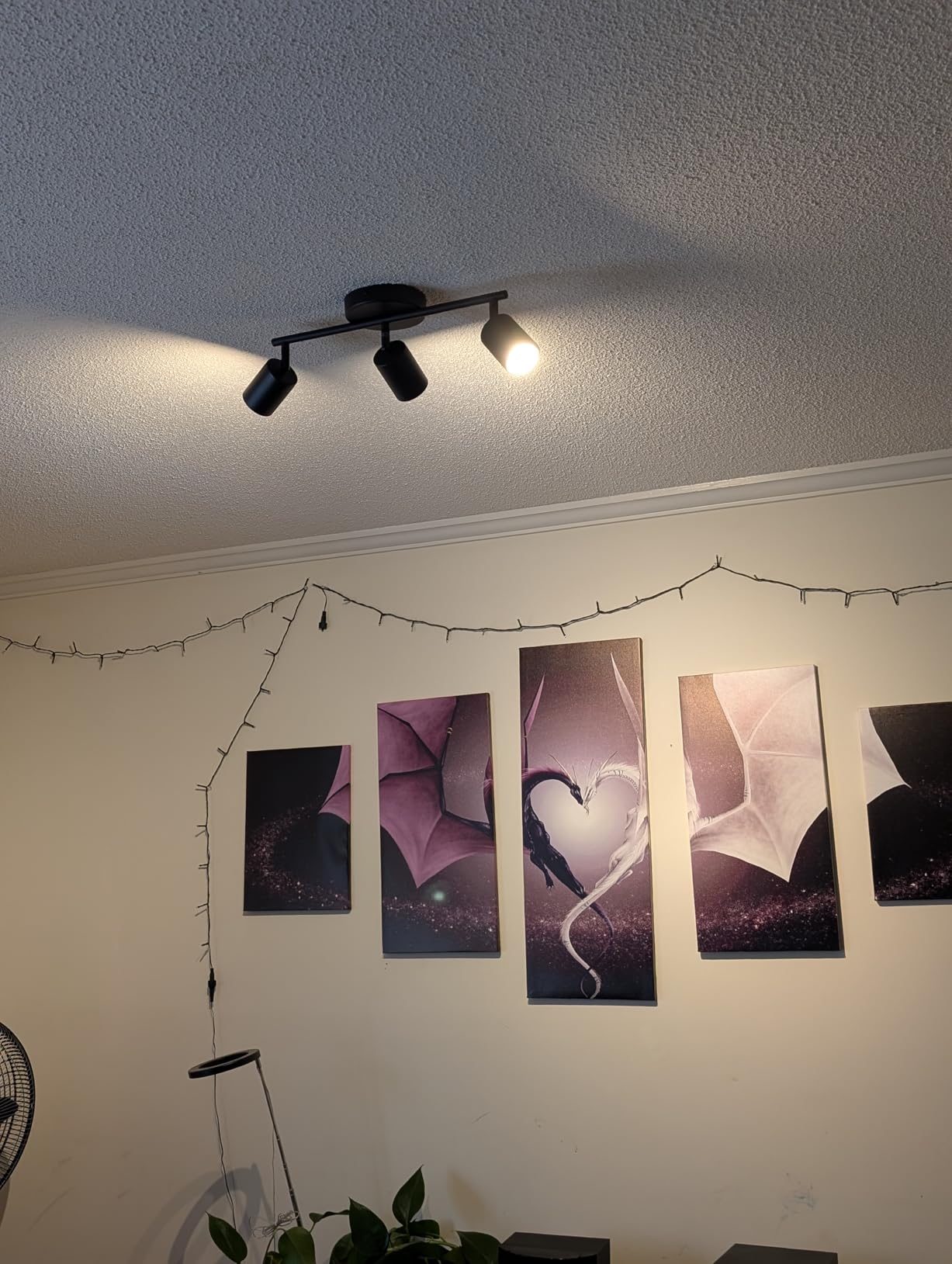 BoostArea LED 4 Light Track Lighting Kit, Black 4 Way Ceiling Spot Lighting, Flexibly Rotatable Light Head for Kitchen, Living Room, Bedroom, Bulb Not Included customer photo 2