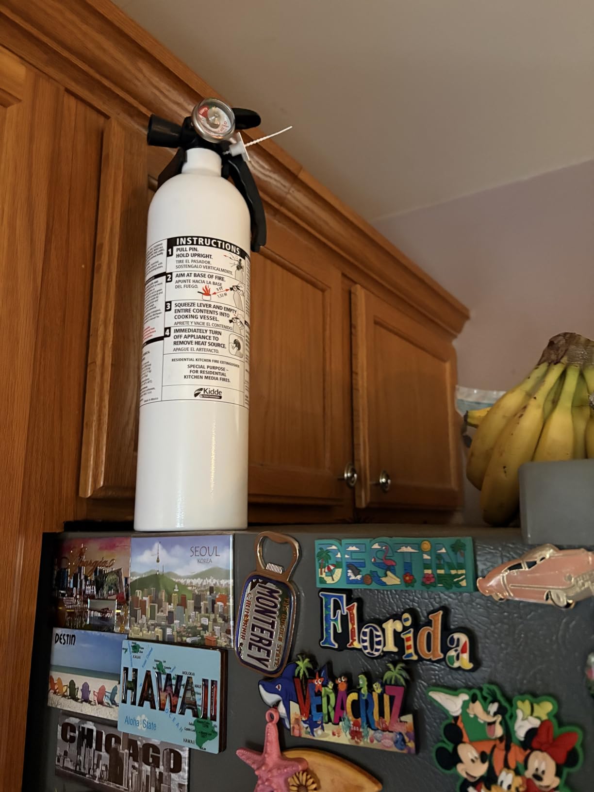 Kidde Kitchen Fire Extinguisher, 711A, RESSP, 2.5 lb. Dry Chemical customer photo 2