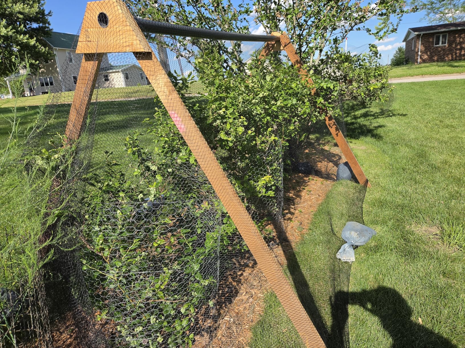 Bird Netting 50x50 Ft, 1 in Mesh Heavy Duty Garden Netting | Extra Strong Woven Mesh Netting Pest Barrier for Plants, Fruit Trees, Vegetables, Animal Fencing Against Birds, Deer, Poultry customer photo 2