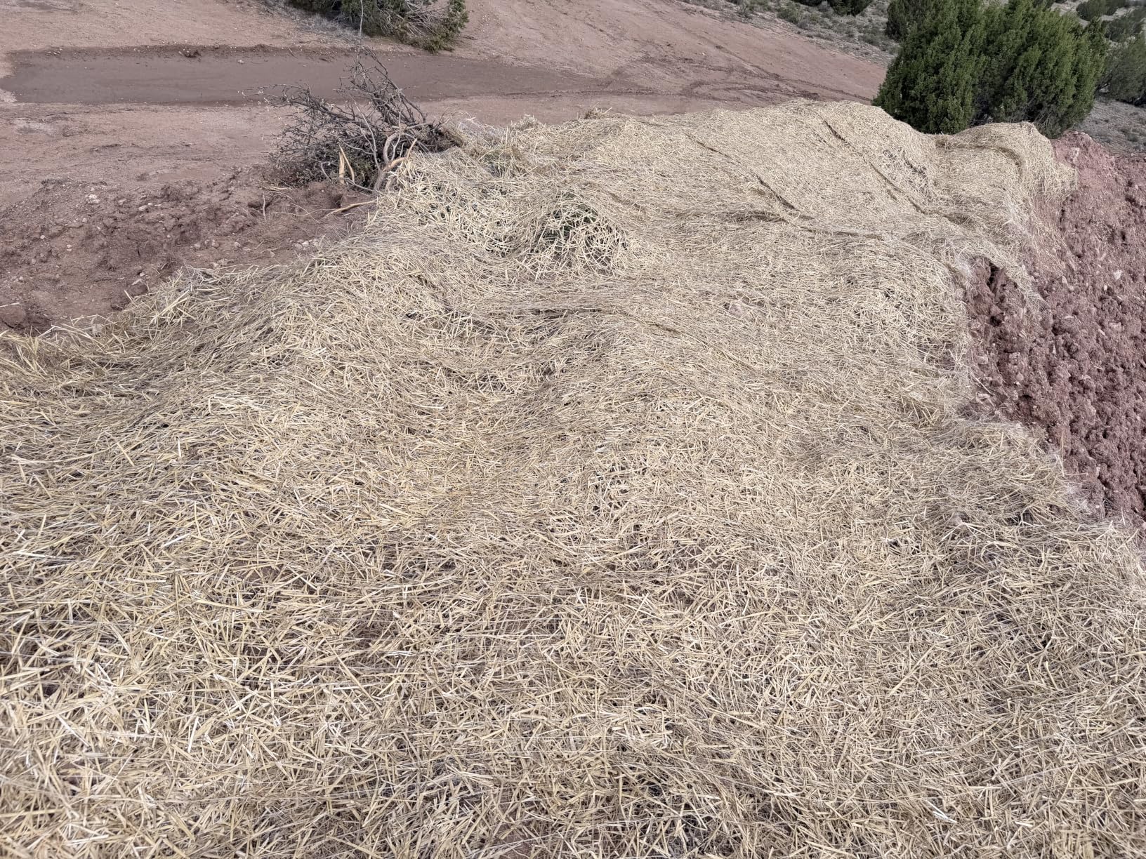 Farm Plastic Supply - Erosion Control Blanket - Straw Garden and Landscape Cover, Erosion Control Blanket, Straw Blanket, Erosion Control, Mulch, Slope Stabilizer, and Seed Protector (8' x 112.5') customer photo 2