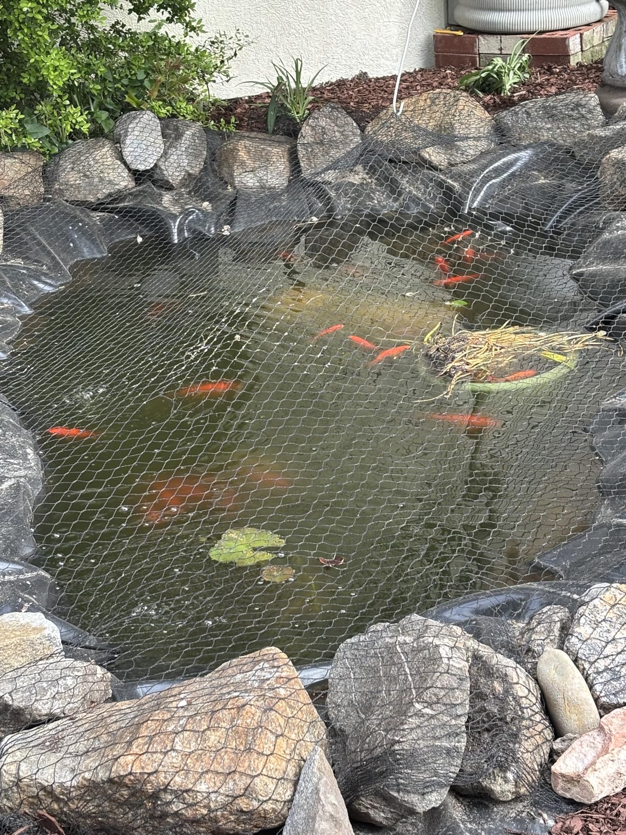 VEVOR 15 x 20 ft Pond Liner, 45 Mil Thickness, Pliable & Durable EPDM Material, Easy Cutting Underlayment for Fish or Koi, Waterfall, Fountains, Water Gardens, Black customer photo 1